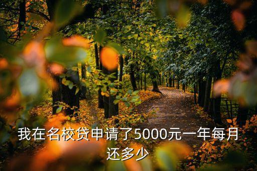 名校貸網(wǎng)頁怎么還款，我在名校貸申請了5000元一年每月還多少