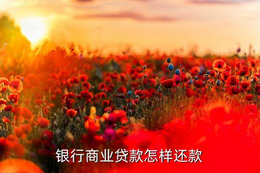 貸款的卡怎么還款方式，透支卡怎樣還房貸