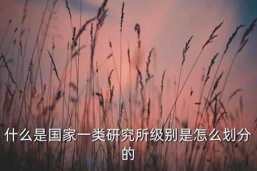 什么是國家一類研究所級別是怎么劃分的