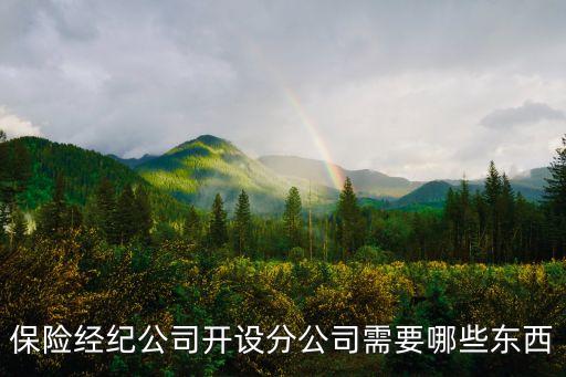 保險(xiǎn)經(jīng)紀(jì)公司開設(shè)分公司需要哪些東西
