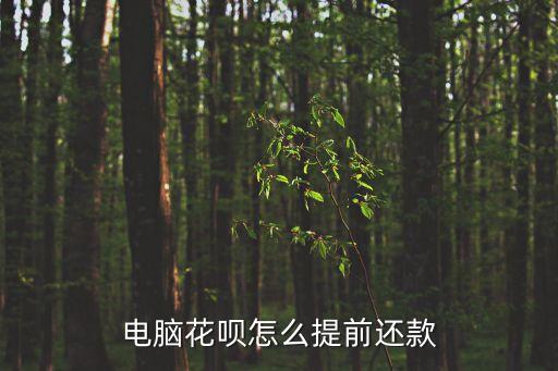 電腦花唄怎么提前還款