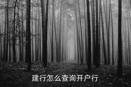 建行卡開戶行怎么查，怎么查詢中國建設(shè)銀行的開戶行信息
