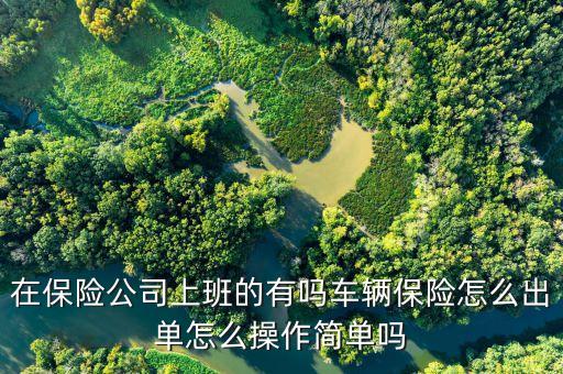 在保險公司上班的有嗎車輛保險怎么出單怎么操作簡單嗎