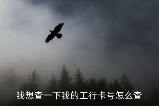 我想查一下我的工行卡號怎么查