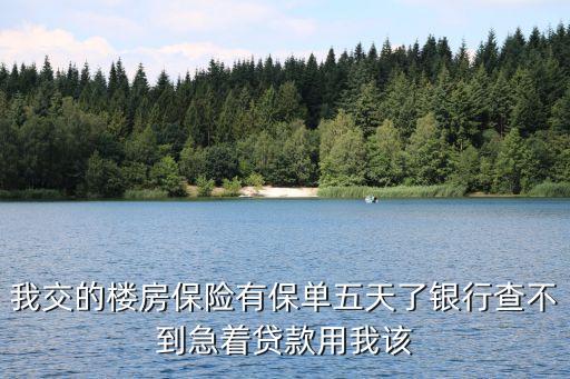 我交的樓房保險有保單五天了銀行查不到急著貸款用我該