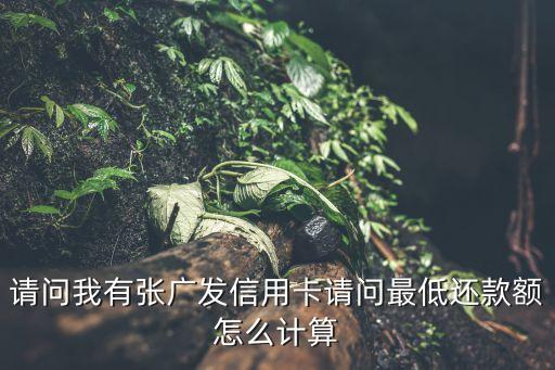 廣發(fā)信用卡最低還款怎么算，廣發(fā)銀行最低還款額怎么計算