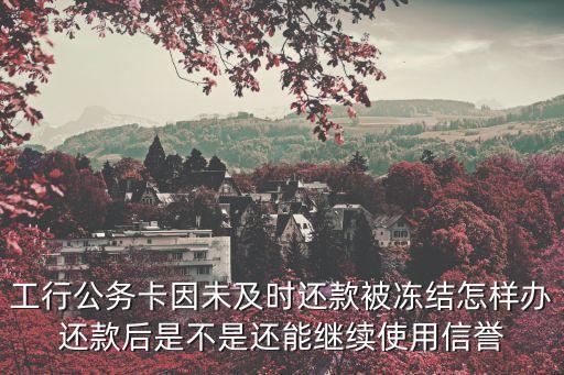 公務(wù)卡凍結(jié)怎么辦，工行公務(wù)卡因未及時(shí)還款被凍結(jié)怎樣辦還款后是不是還能繼續(xù)使用信譽(yù)