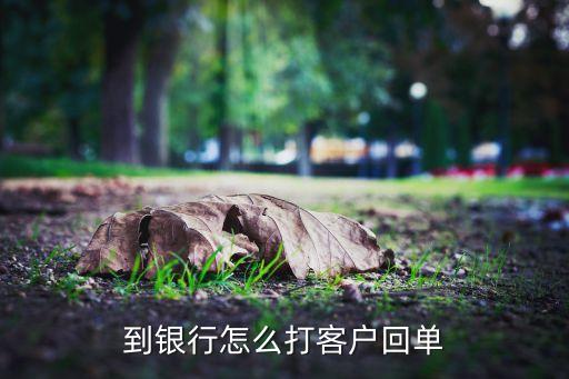 浦發(fā)柜臺怎么打印回單，怎么打印銀行電子回單
