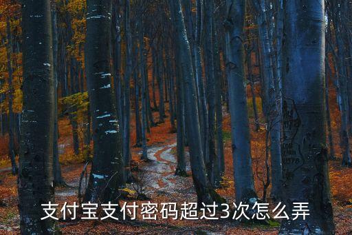 支付寶支付密碼超過(guò)3次怎么弄