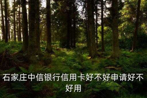 石家莊中信銀行信用卡好不好申請(qǐng)好不好用