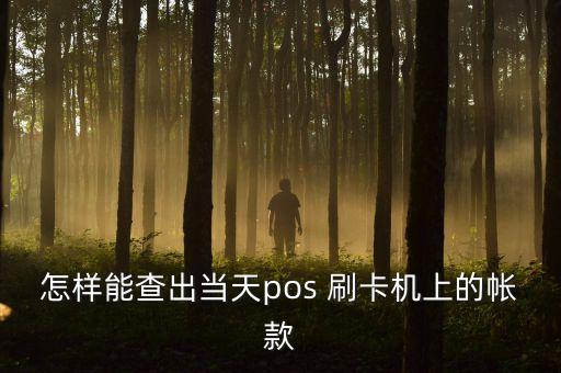 銀行pose機(jī)賬單怎么查，pos機(jī)刷卡怎樣查到賬