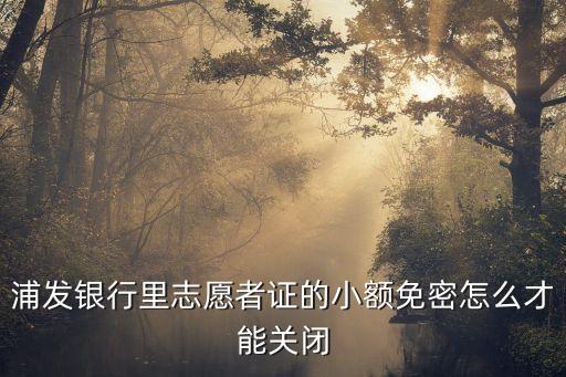 浦發(fā)銀行里志愿者證的小額免密怎么才能關閉