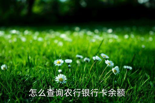 怎么查中國農(nóng)行的余額，怎么查詢農(nóng)行銀行卡余額
