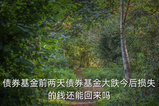 債券基金前兩天債券基金大跌今后損失的錢還能回來嗎