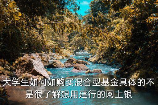 混合基金怎么投，大學(xué)生如何如購(gòu)買混合型基金具體的不是很了解想用建行的網(wǎng)上銀