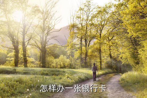 怎樣辦一張銀行卡