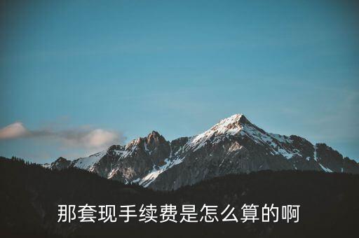 套現(xiàn)手續(xù)費(fèi)怎么計(jì)算，那套現(xiàn)手續(xù)費(fèi)是怎么算的啊