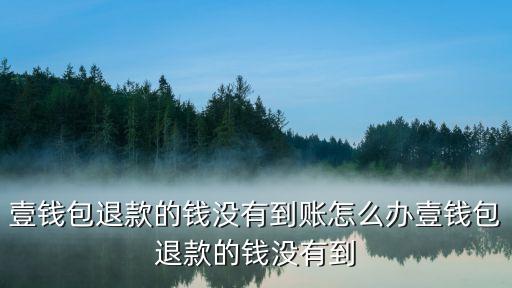 壹錢包退款的錢沒有到賬怎么辦壹錢包退款的錢沒有到