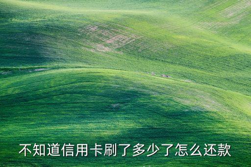 信用卡一次刷完怎么還，不知道信用卡刷了多少了怎么還款