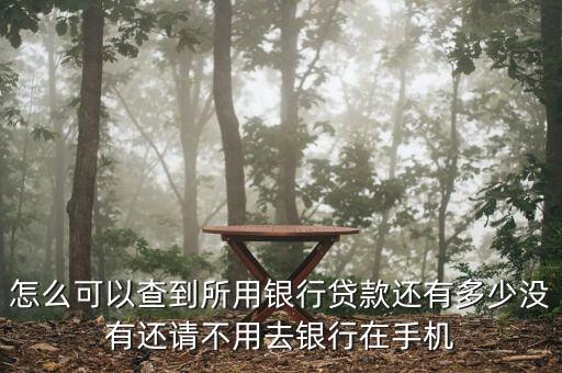 怎么可以查到所用銀行貸款還有多少沒有還請不用去銀行在手機(jī)