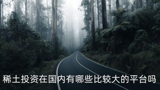 稀土投資在國內(nèi)有哪些比較大的平臺嗎