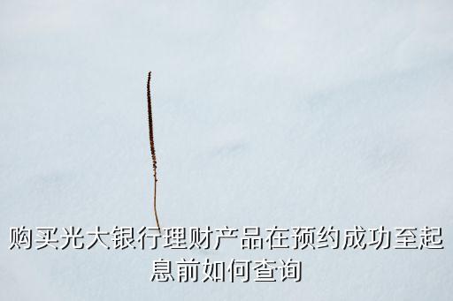 購買光大銀行理財產(chǎn)品在預(yù)約成功至起息前如何查詢