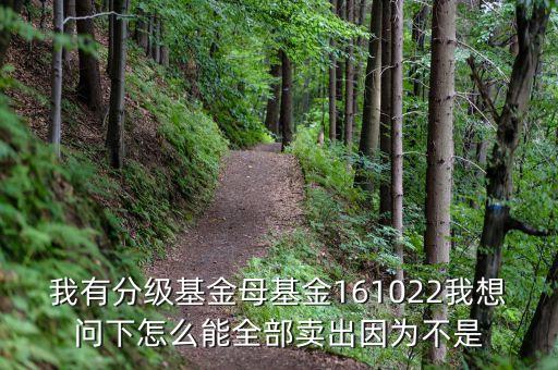 161022怎么贖回，我有分級基金母基金161022我想問下怎么能全部賣出因為不是