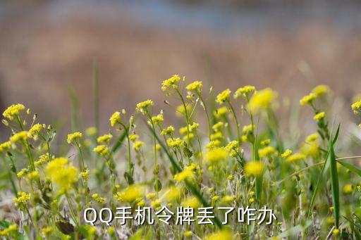 電子令牌丟了怎么辦，如果電子令牌丟了怎么辦