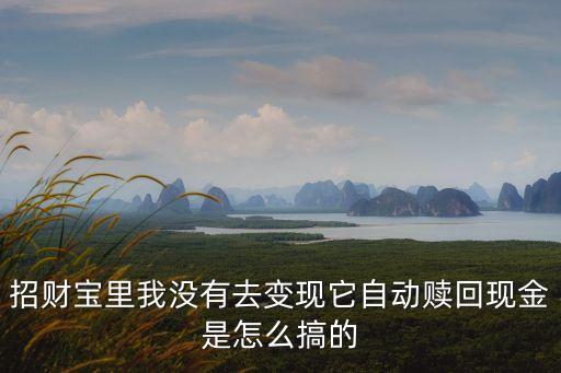 招財(cái)寶里我沒(méi)有去變現(xiàn)它自動(dòng)贖回現(xiàn)金是怎么搞的