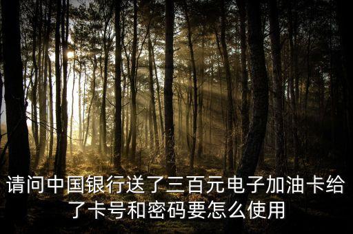 請(qǐng)問中國銀行送了三百元電子加油卡給了卡號(hào)和密碼要怎么使用