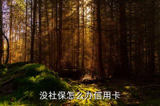 沒上班社保怎么辦理信用卡，沒社保怎么辦信用卡