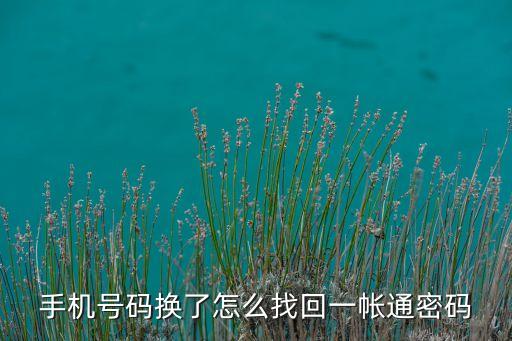 手機號碼換了怎么找回一帳通密碼