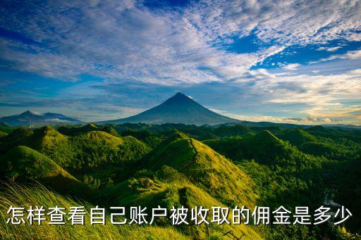 怎樣查看自己賬戶被收取的傭金是多少