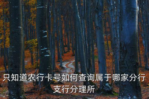 只知道農(nóng)行卡號(hào)如何查詢屬于哪家分行支行分理所