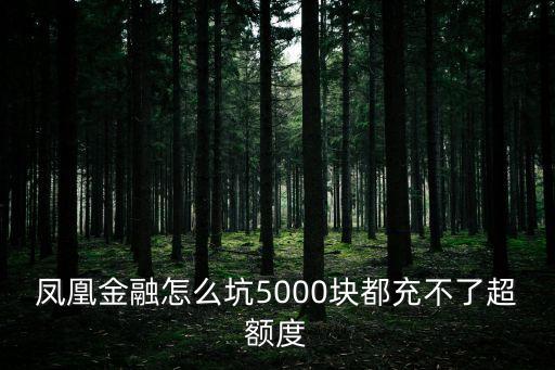 鳳凰金融怎么坑5000塊都充不了超額度