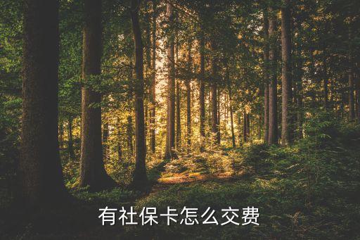 有社會(huì)保障卡怎么繳費(fèi)嗎，社會(huì)保障卡就是醫(yī)療卡怎樣交錢