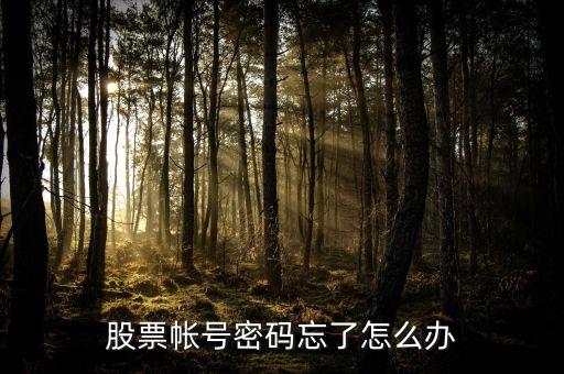 股票帳號(hào)密碼忘了怎么辦