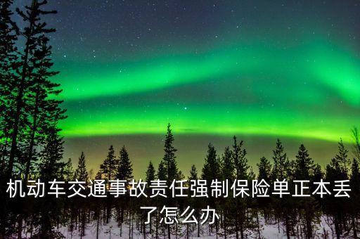 汽車交強(qiáng)險(xiǎn)保單丟了怎么辦，車輛強(qiáng)制險(xiǎn)保單丟失怎么辦