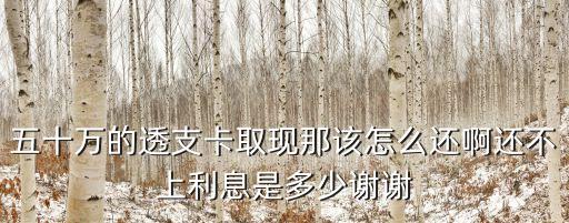 信用卡50萬怎么還，信用卡50萬如何分20年還