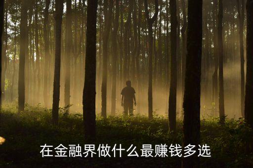 在金融界做什么最賺錢多選