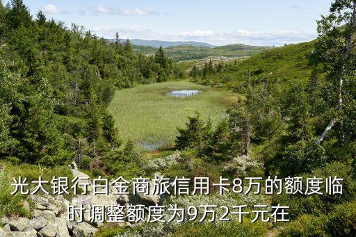 光大銀行白金商旅信用卡8萬的額度臨時(shí)調(diào)整額度為9萬2千元在