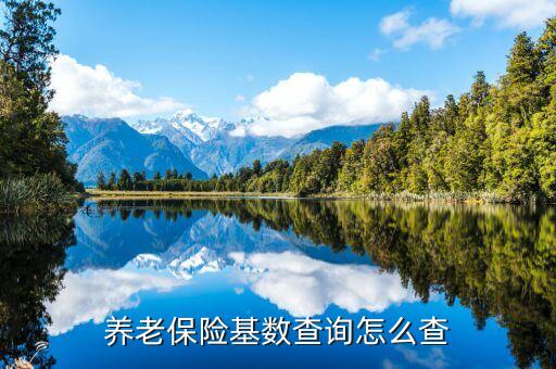 養(yǎng)老保險基數(shù)查詢怎么查