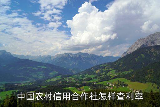 浙江農(nóng)信怎么查貸款利率，中國農(nóng)村信用合作社怎樣查利率