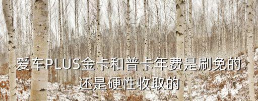 愛車PLUS金卡和普卡年費(fèi)是刷免的還是硬性收取的