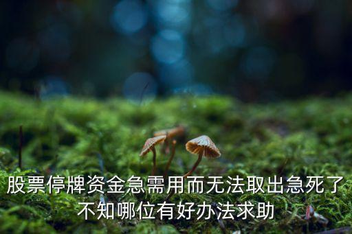 股票停牌資金急需用而無法取出急死了不知哪位有好辦法求助