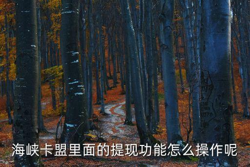 卡盟提現(xiàn)怎么設(shè)置，卡盟主站怎么給下級(jí)開通提現(xiàn)