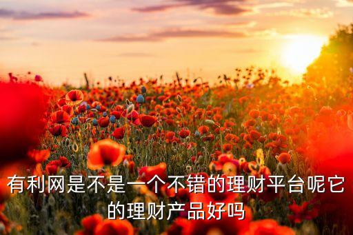 有利網(wǎng)是不是一個(gè)不錯(cuò)的理財(cái)平臺(tái)呢它的理財(cái)產(chǎn)品好嗎