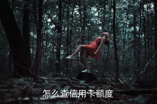 怎么知道有自己的信用卡額度嗎，怎么查信用卡額度