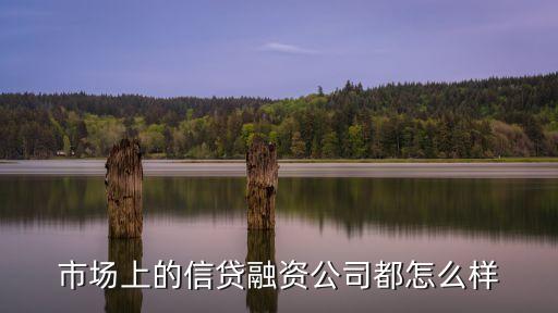 市場(chǎng)上的信貸融資公司都怎么樣