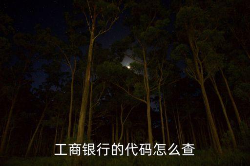 工商銀行的代碼怎么查